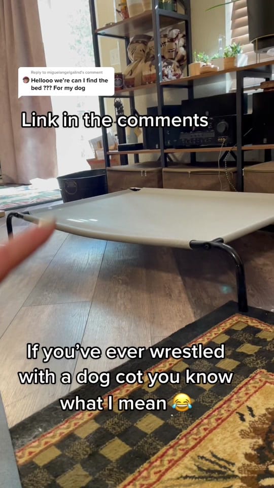 Post 3 by Bleeker on TikTok (video)