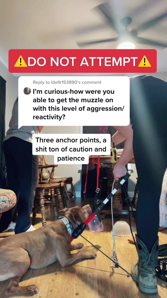 Post 8 by Bleeker on TikTok (video)