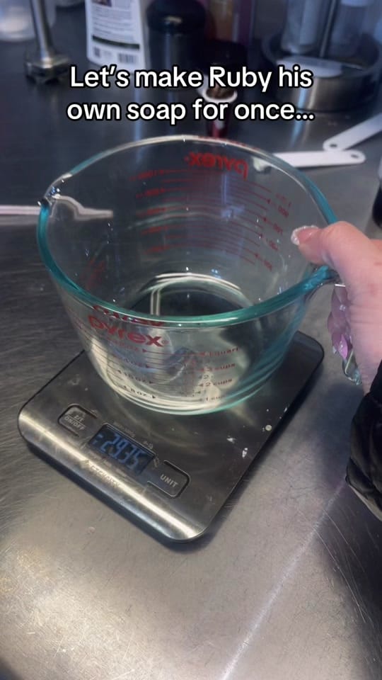 Post 10 by Emmy’s Essentials 🧼 on TikTok (video)