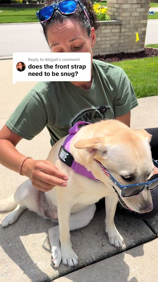 Post 6 by Dr. Sarah | Your Wellness PT on TikTok (video)