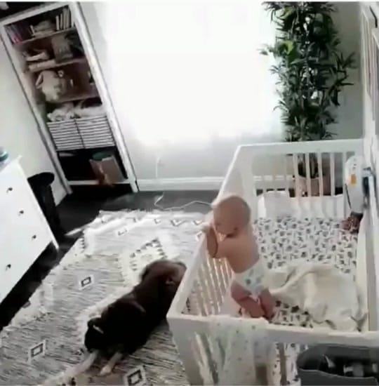 Post 9 by GoGoMum on TikTok (video)