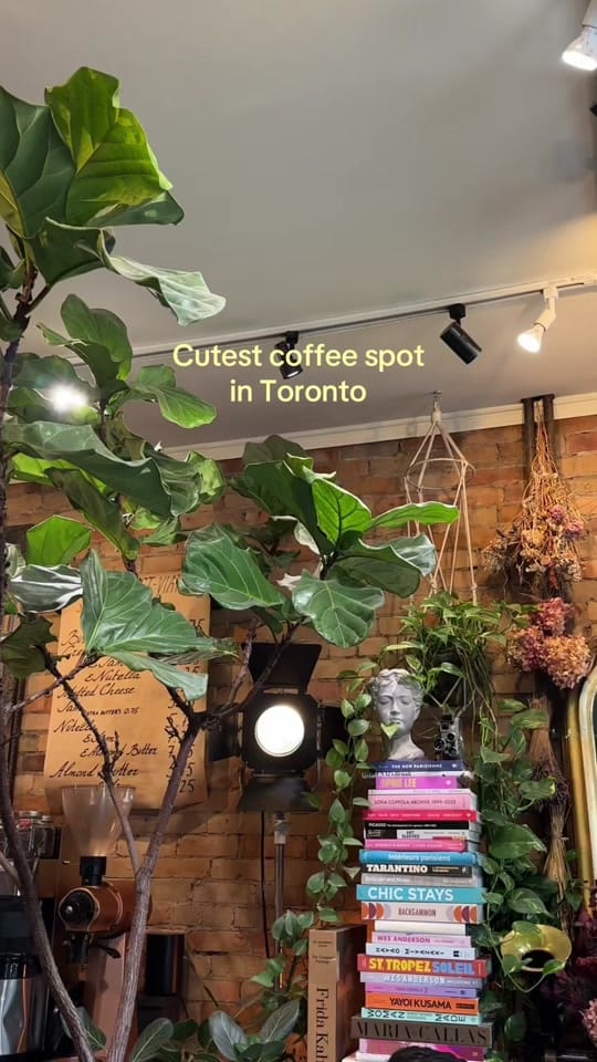 Post 4 by Miriam | UGC on TikTok (video)