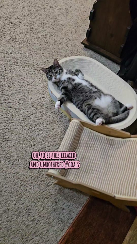 Post 7 by Mel 🙋‍♀️ | Nasi 😸 | Mie 😺 on TikTok (video)