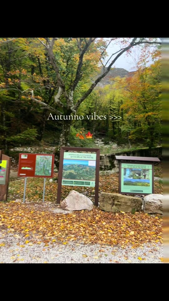 Post 10 by Simotravelvibes 🌎✨ on TikTok (video)