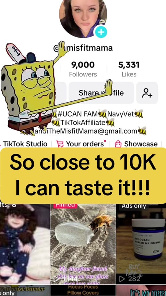 Post 4 by Tennessee Misfit Mama on TikTok (video)