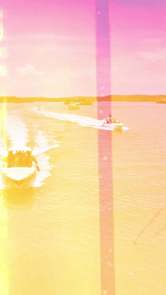 Post 9 by Tribu Project on TikTok (video)