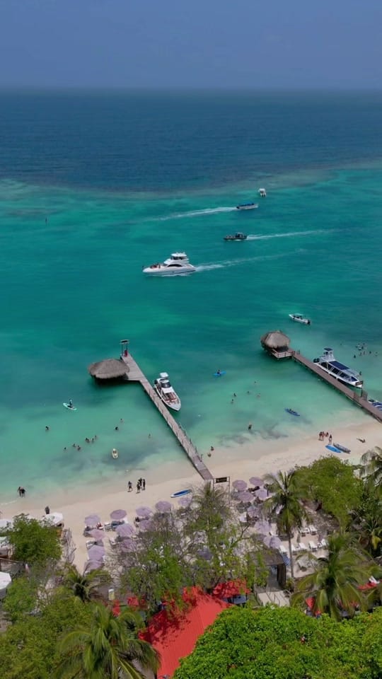 Post 6 by Tribu Project on TikTok (video)