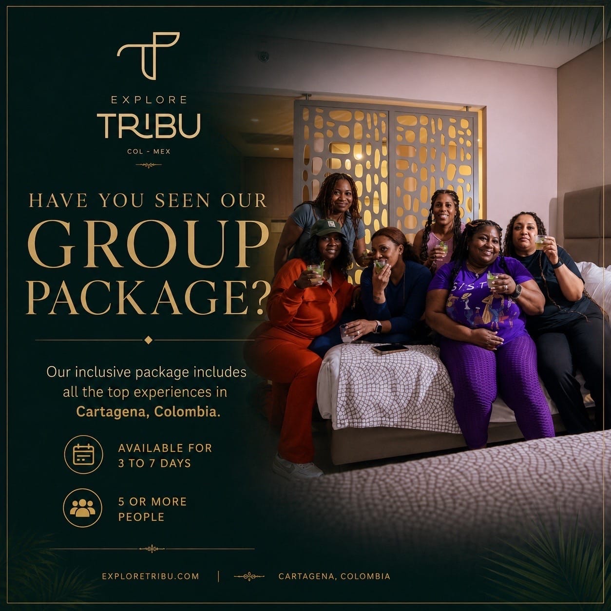 Post 5 by Tribu Project on TikTok (video)