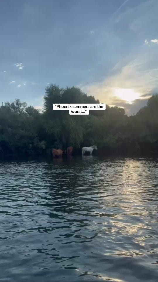 Post 1 by Caitlin Rose 🌙 Healing Guide on TikTok (video)