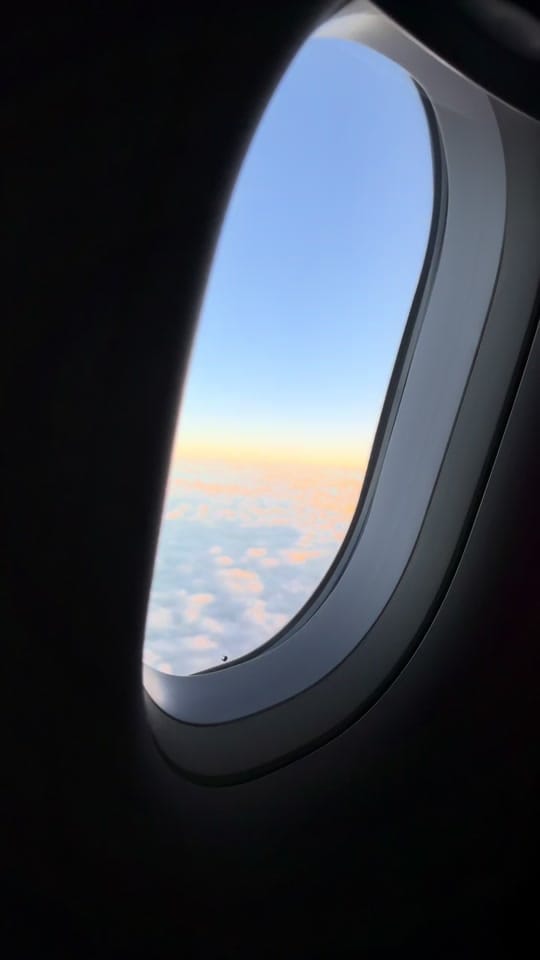 Post 4 by michelle on TikTok (video)