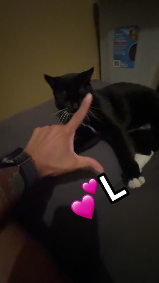 Post 7 by Samara on TikTok (video)