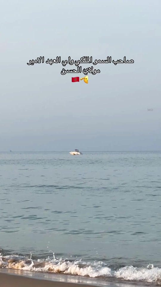 Post 8 by maimed on TikTok (video)