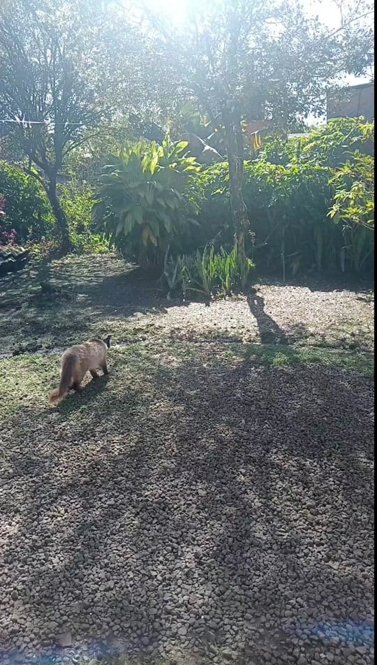 Post 3 by Luciana 🫶☕🤍 BDSM 💯🫶⛓️ on TikTok (video)