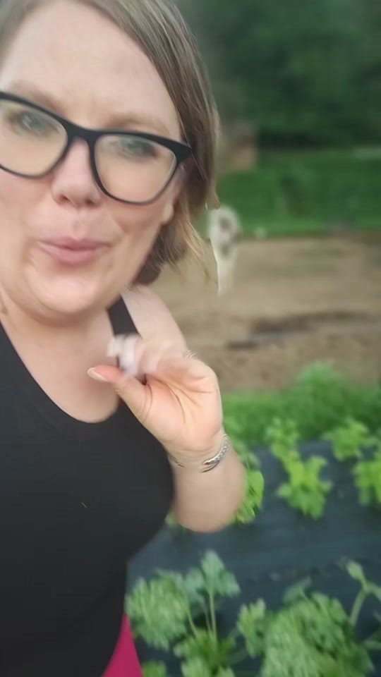 Post 6 by Hersheyessentials on TikTok (video)