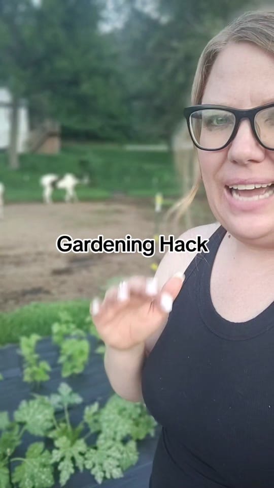 Post 1 by Hersheyessentials on TikTok (video)