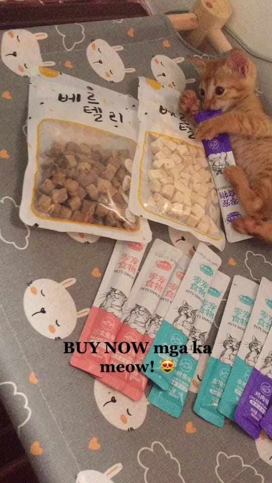 Post 8 by Storm & Friends 🐾 on TikTok (video)