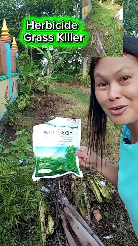Post 5 by Cherry Boter🍒 on TikTok (video)