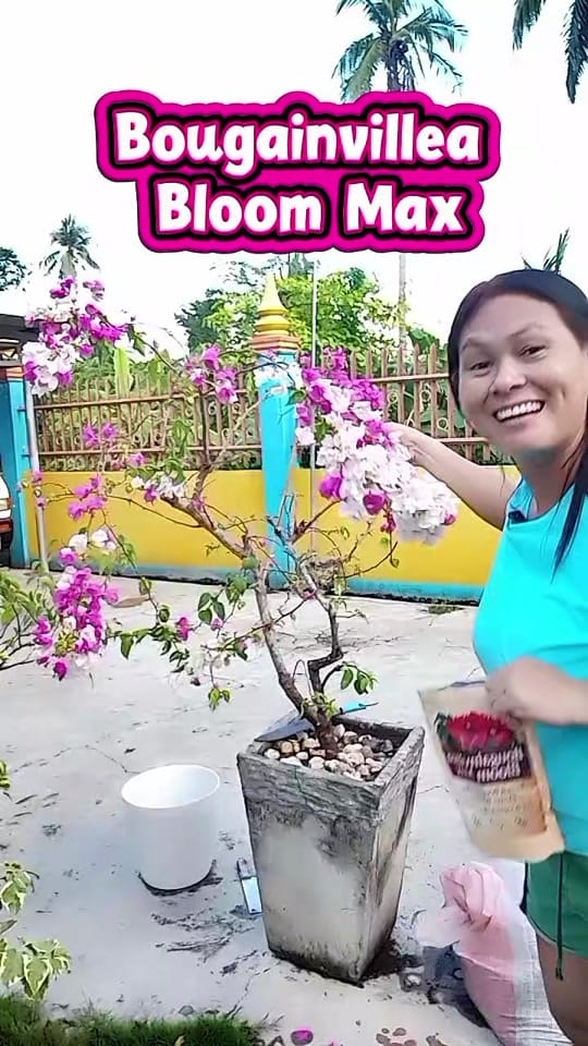 Post 1 by Cherry Boter🍒 on TikTok (video)