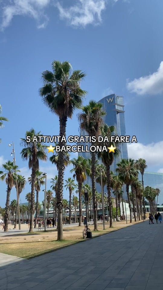 Post 10 by Chia | BCN Tips ⭐️ on TikTok (video)