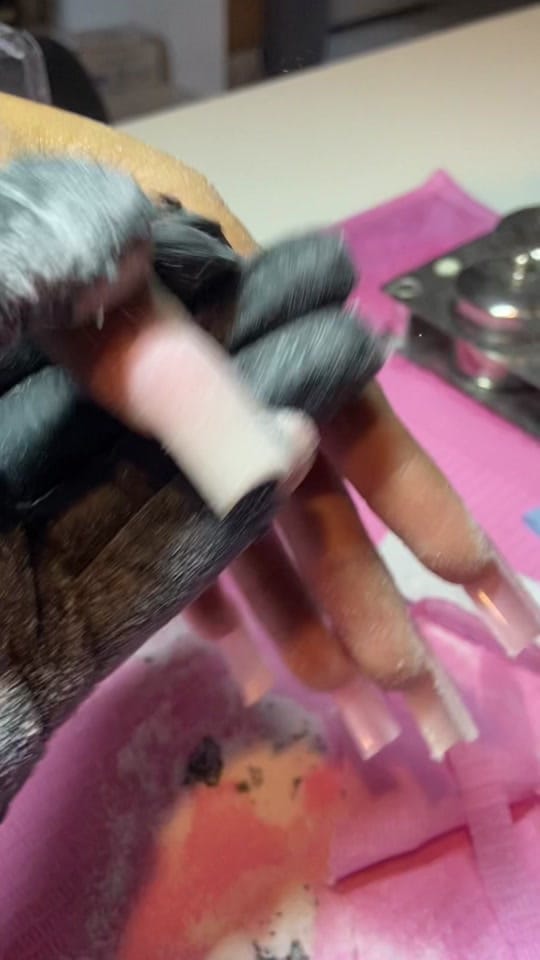Post 3 by nailedbydayz on TikTok (video)