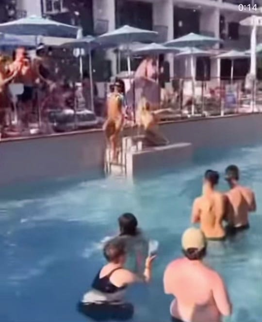 Post 10 by Jamesibiza on TikTok (video)