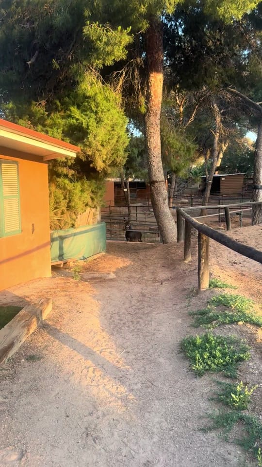 Post 3 by Jamesibiza on TikTok (video)