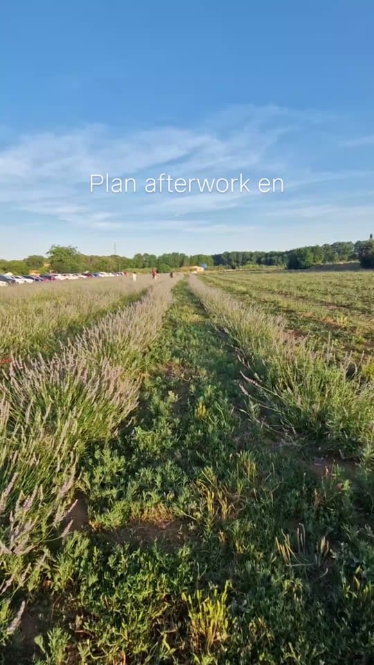 Post 3 by Mochileros de viaje on TikTok (video)