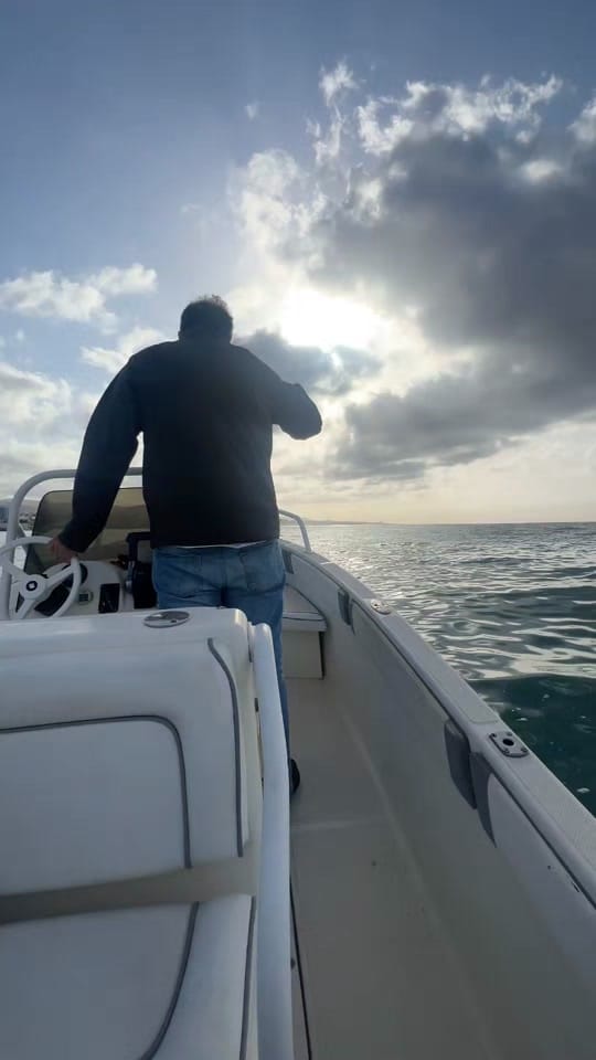Post 9 by CUBA on TikTok (video)
