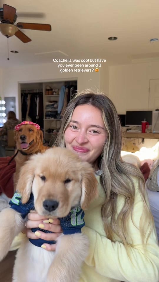 Post 9 by Nat on TikTok (video)