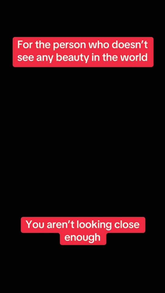 Post 5 by Nursebees 🐝 🐝 🐕 🐈 on TikTok (video)