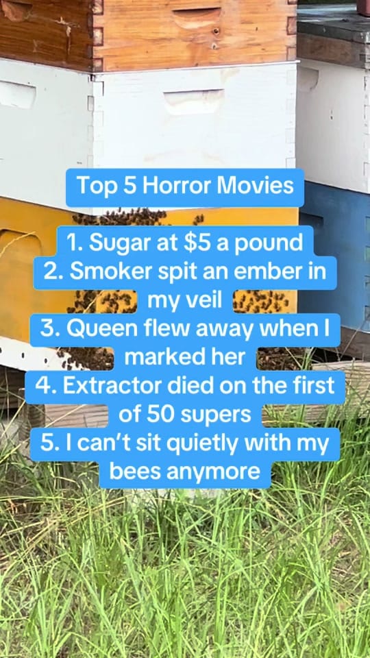 Post 2 by Nursebees 🐝 🐝 🐕 🐈 on TikTok (video)