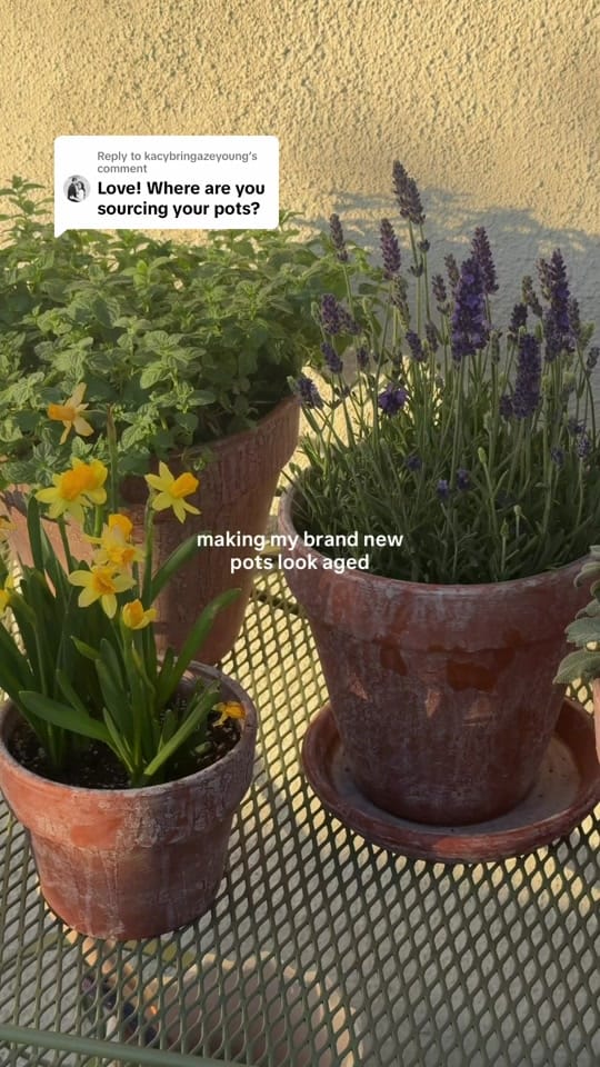 Post 3 by Joslyn Kramer on TikTok (video)