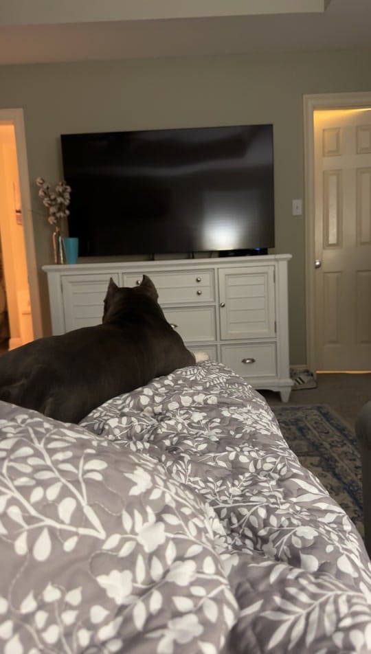 Post 7 by Christina 👩🏻‍⚕️ on TikTok (video)