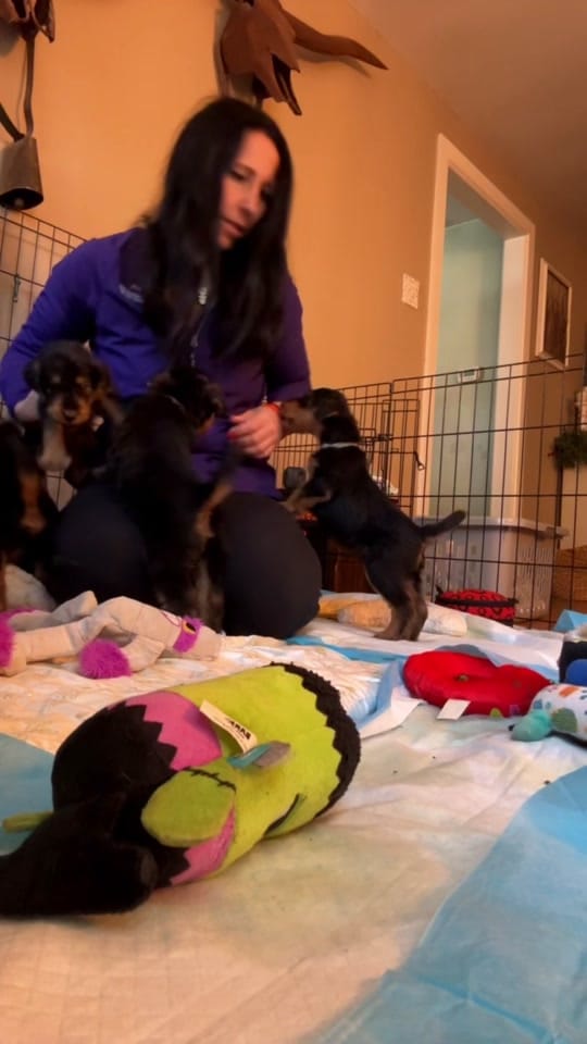 Post 9 by Tara on TikTok (video)