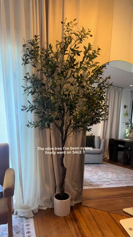 Post 4 by ashlee.010 on TikTok (video)