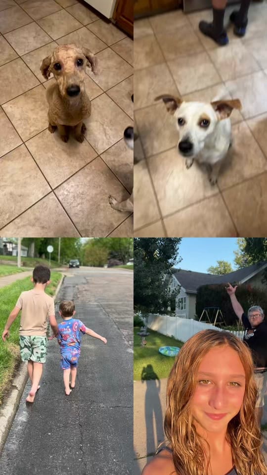 Post 2 by Jalanea Tabke on TikTok (video)