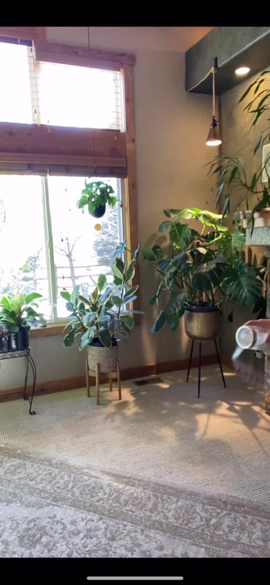 Post 4 by Rigel Smith on TikTok (video)