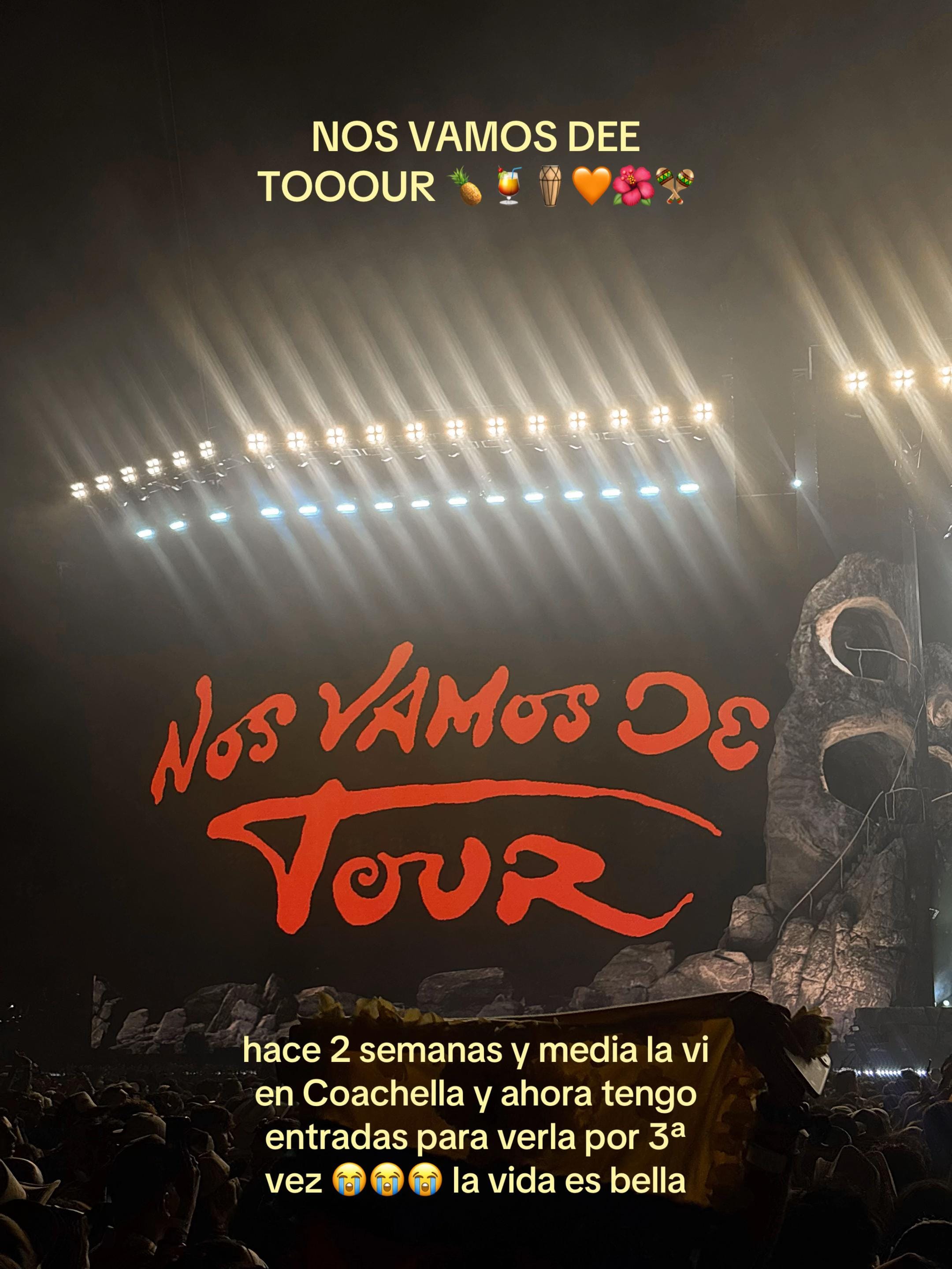 Post 6 by Michelle on TikTok (video)