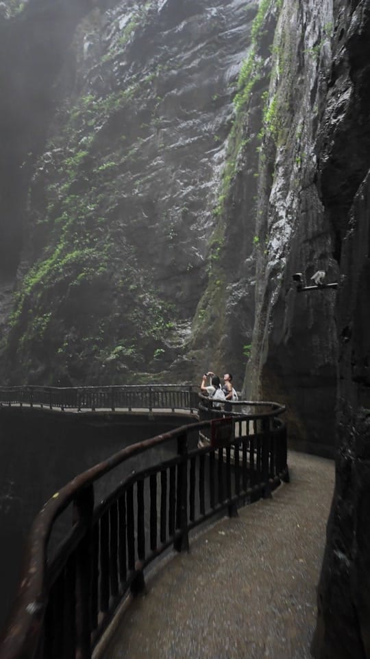 Post 1 by Nature Lovers on TikTok (video)