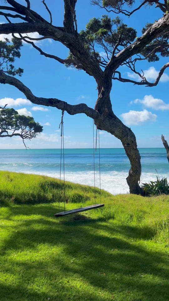 Post 10 by Nature Lovers on TikTok (video)