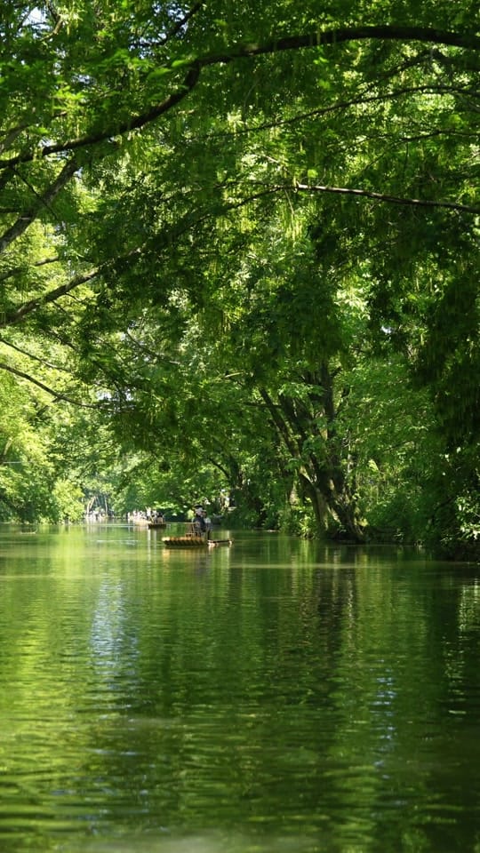 Post 5 by Nature Lovers on TikTok (video)