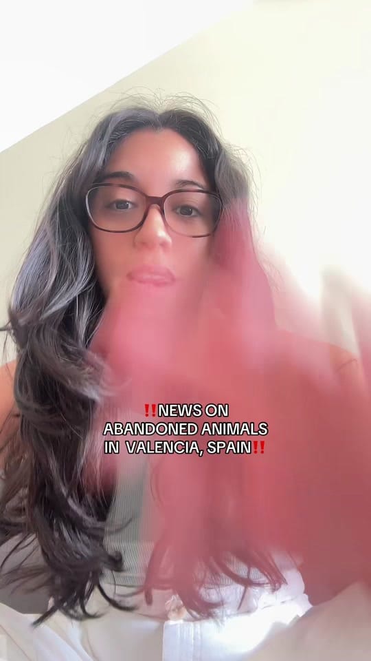 Post 4 by Caitlyn & Remy on TikTok (video)