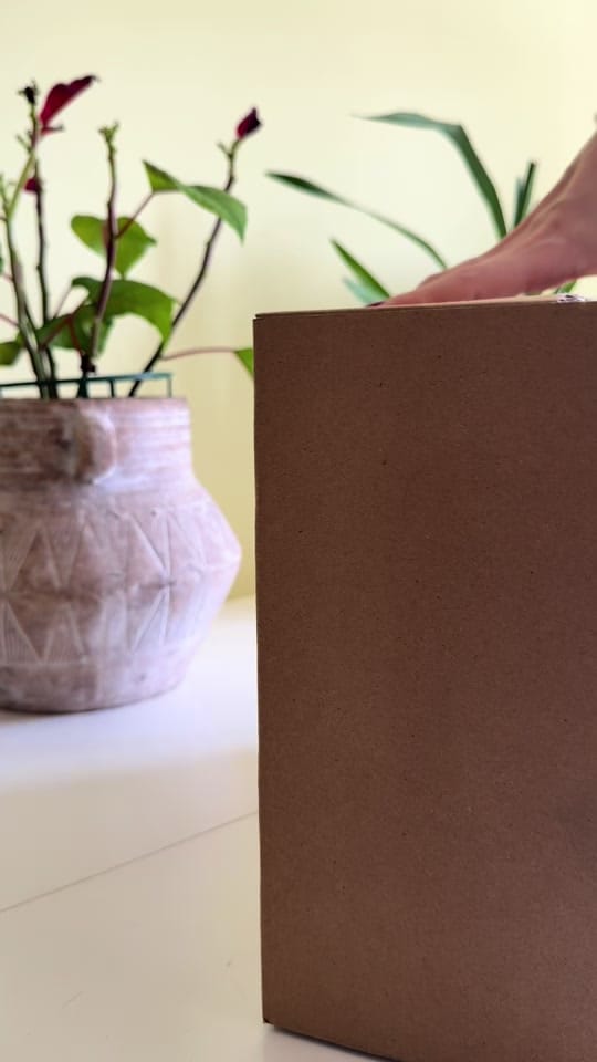Post 5 by Ferralobas Photography 📸 on TikTok (video)