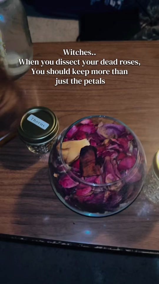 Post 2 by Mariah’s Grimoire on TikTok (video)