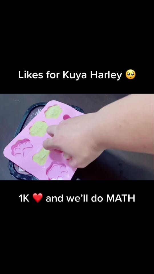 Post 10 by Harley & Euna on TikTok (video)