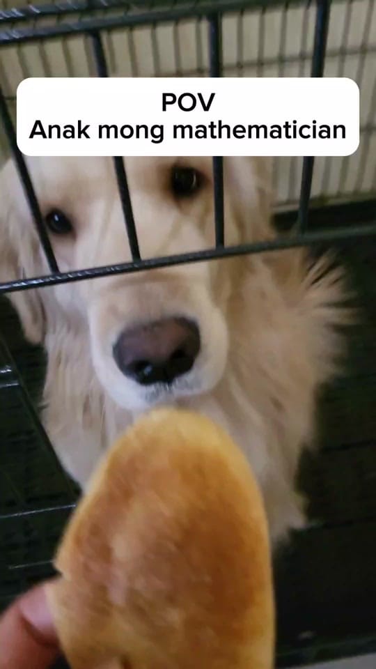 Post 8 by Harley & Euna on TikTok (video)