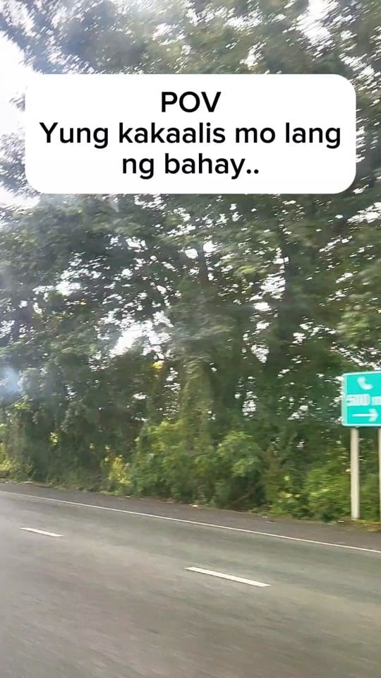Post 7 by Harley & Euna on TikTok (video)