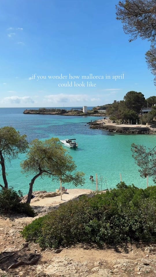 Post 5 by Mallorca Island Guide on TikTok (video)