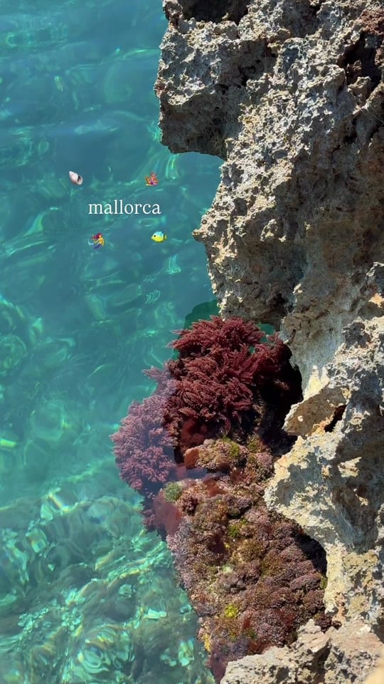 Post 2 by Mallorca Island Guide on TikTok (video)