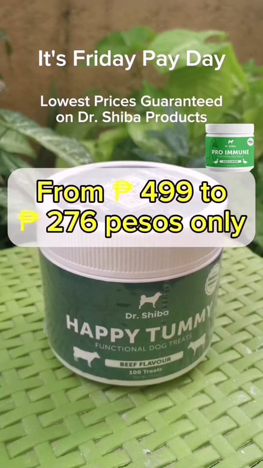 Post 9 by JZone PH on TikTok (video)